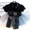 Schwarze Farbhund modische Kleider für 2023 Herbst und Winter Prinzessinstil Kleid Haustier Hochzeit Kleidung klein 240402