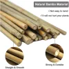 Suporta 20 PCS Plants Support Bamboo Sticks Planta resistente Apoiando a estaca de fixação para usuários de plantas em vasos de jardim