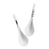 Spoons 2 Pcs Ladle Spoon Home Soup Decorative Porridge Japanese Buffet Ceramics Restaurant Scoop Vintage