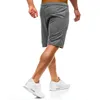 Shorts pour hommes Summer Casual Capris Sports Running Pantal