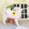Kostium kotów Odzież jesień i zimowy kotek niebieski zwierzak 2024 pionowa aksamitna koreańska wersja