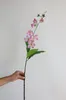 Decorative Flowers 31" Realistic Fake Clerodendrum Wallichii Blossom Branch With Buds-White Pink Wallich's Glorybower DIY Wedding/Home