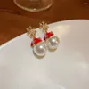 Boucles d'oreilles étalon