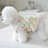 Inseto de pet strawberry strap vestido de renda de renda gato cachorro torddy moda de moda vestidos de cachorro 240402