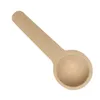 Cuillères 5pcs mini-bois à café en bois condiments de cuisson pour la cuisine pot de café