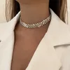 Jewelry Fashion Trend Super Sparkling Full Diamond Neckchain Necklace Ornament Sexy and Simple Diamond Clawbone Necklace for Women