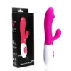 Rechargeable Handheld Silicone Adult Clit Clitoral Clitoris Sex Toy G Spot Dual Motor Rabbit Vibrator for Women Female