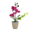 Dekorativa blommor Simulering Blomkruka Låg underhåll Långvarig hållbarhet REALISTISK utseende Bonsai Tree