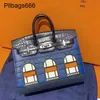 Tygväska designer väskor handväskor tygväska heyi snöhus handväska handavtryck krokodil mönster kontrast färg utsökt franska kvinnors lås spänne cr cr