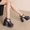 Sandalen Zomer 2024 Punk Hollow Out Platform Heel Ladies High Heel Black Buckle Riem smalle bandschoenen Feest Women schoenen