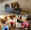 Vêtements de chien 6 pièces T-shirt à rayures chiens