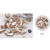 Removents 1 boîte colorée 3D Irrégulea Sea Shell Slice Particules Sequet Crush Nail Art Flash Decoration Natural Conseils Accessoires