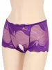 Mutandine femminili donne sexy brief in pizzo a cavallo aperto in trasferta biancheria intima in lingerie che vanno a medio vita elastico in vita esotico Underpants