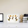 Frames Créative Image Frame Chaby Chaby Decor Spécimen pour POS POS Double Caler Bedroom Fleur Fleur Decorative Verre Sidées