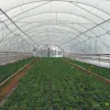 Covers Greenhouse Film Clear Polythene Plastic Sheet Garden Diy Materiaal Cover voor kas dak Cold Protection Waterdicht