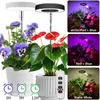 Grow Işıkları Kapalı Bitkiler için Tam Spektrum LED Yükseklik Ayarlanabilir Dimmmabable Lamba Çiçek Halo Halkası Fito Büyüme Işığı