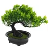 Dekorativa blommor Simulering Välkommen Pine Plant Pots Outdoor Decorate Bonsai Tree Home Decoration Plastical Child Child