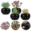 Fleurs décoratives 4 pcs mini ornements simulés de bonsaï faux succulents en pot petites plantes artificielles miniatures décor de paysage