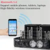 Amplifikatör Lyele Audio 6F1 Vakum Tüp Amplifikatör Kulaklık Amplifikatör Bluetooth 5.0 Vu Metre 80W*2 USB Player Mp3 Optik Koaksiyel Giriş Amp