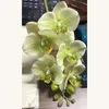 Flores decorativas 5 Cabeça Phalaenopsis Flowring único Flor Artificial Flow
