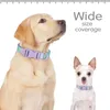 Hundekragen Modehörer Nylonkragen Verstellbarer Katze Kleine Haustier -Halsketten -Accessoires für große Hunde Mops