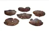 Créative Coconut Shell Savon Plats de feuille de feuille de dessin de la feuille Plaique de savon de coco creux Supplies de salle de bain Hollow Out Hole2152899