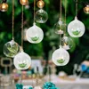 Bandlers chandeliers suspendus globe conique de verre globes terrarium succulent