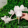 White Wedding Shoes Bridal Shoes Female Ribbon Bow Stiletto Heels Pointed Top Black Sweet High Heels Big Size 42 Sandals Y2207012 793