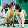 猫の衣装毛のない服のキャミソール春と夏の薄い2本足のTシャツペット