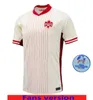 2024 Camisa da seleção de Jerseys de futebol do Canadá Davies J.David 24 25 Larin Cavallini Millar Eustaquio 2024 Camisetas de futebol em casa fora