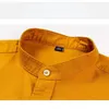 Camisa de manga larga algodón de algodón puro para hombres Collar de pie amarillo de pie casual Top informal Mensor sólido Botón Camisa formal240325