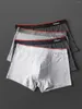 Sous-pants Miiow 4pcs Cotton Men's Boxer Underwear Antibactérien Antibactérien Boxershorts Hommes rayés sans couture Mâle court