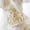 Inseto de pet strawberry strap vestido de renda de renda gato cachorro torddy moda de moda vestidos de cachorro 240402