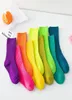 Candy Solid Color Sport Socks Autumn Winter Kinderen Sock Boys Girls Soft Double Needle Cotton Tube Kids 20220228 Q28048752