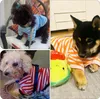 Vêtements de chien 6 pièces T-shirt à rayures chiens