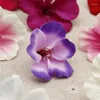 Fiori decorativi 4-5 cm 50pcs/lotto fiore artificiale a gradiente di seta molla