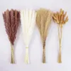 Fleurs décoratives 90pcs Pampas Grass for Boho Chic Home Decor et Naturellement Séché Bouquet de bouquet