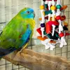 その他の鳥の供給ノットトイオウムおもちゃおもちゃ多色の天然木製ブロック環境に優しい濃縮噛み込みと引き裂き