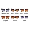 Sunglasses Fashion Cat Eye Woman Brand Designer Big Frame Gradient Sun Glasses Clear Lens Female Shades Vintage