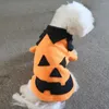 Vêtements pour chiens Hoodies Halloween Vêtements d'automne décor du festival de chiot Costume citrouille chat hiver tissu chaud chaton