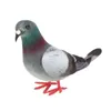 Decorações de jardim Modelo Simulação Pigeon 1PCS Toys educacionais artificiais Fake IMitation Bird High Quality