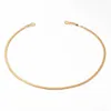 Messing plattiert 18k echtes Gold / Platin -Ins cooler Stil Mode Schlangenknochen flache Kette Colarbone Halskette weiblich