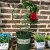 Soutient le treillis pour les plantes grimpantes ensemble intérieur de 5 pcs rond de plante intérieure de soutien outil de jardinage pour les roses Gloire du matin