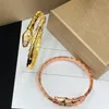 Snake Bangle Jewelry Designer متعددة الحلقات سوار الفضة الفضية جولة سوار هارد السلسلة الكلاسيكية