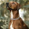 Köpek yakaları Dayanıklı Krom Kaplama Metal Eğitim Kayma Köpekler İçin Ağır Çift Sıralı Bok zinciri Büyük Çekme