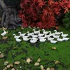 Décorations de jardin Micro Miniature Paysage mignon Mini Duck State Decoration Decoration ACCESSOIRES DE JARDING CRÉATIVE
