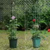 Ondersteunt 105/85/68cm metalen tuin Trellis Tall Plant Support Trellis voor potplanten klimt Vine Rose Obelisk Trellis 3pc/Set