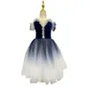 BAMBINI CINTOLA DEGLI VEIL BALLETTO ALL'ANTITERE ABBIGLIAMENTO LUNGO SCARA LUNGO SWAN DANGE CAGLIE INDRESS ASSRESTI PRINCIPE