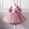 Baby Girl Kleid 0-5y Prinzessin Kleid Baby Taufkleid Spitze Tutu Netzgarn Tutu Mädchen Geburtstagsfeier Kleid Mädchen Kleid 240407