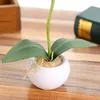 Декоративные цветы 1 шт. Симпатичная маленькая бонси симуляция Phalaenopsis Fake Pot Plant